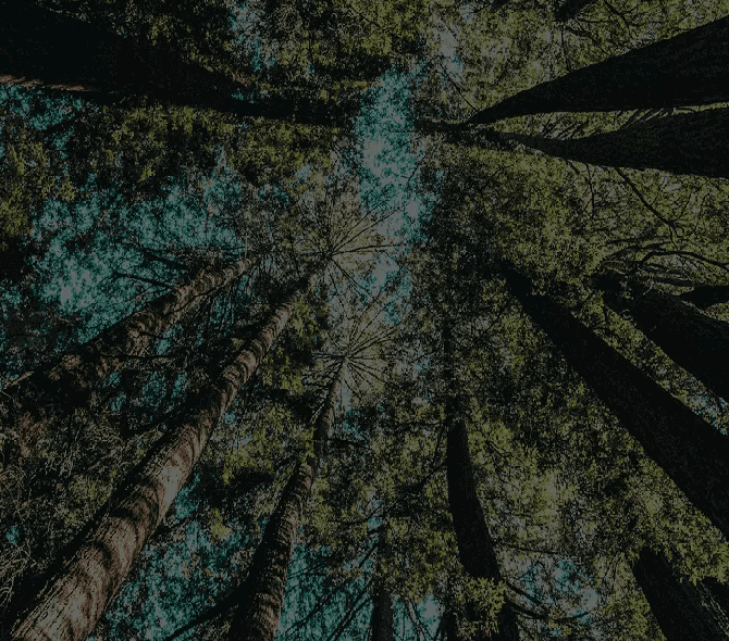 Premium Fashion Viscose Yarn